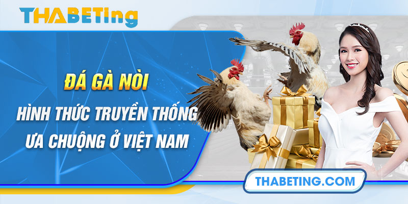 Đá Gà Nòi - Hình Thức Truyền Thống Ưa Chuộng Ở Việt Nam