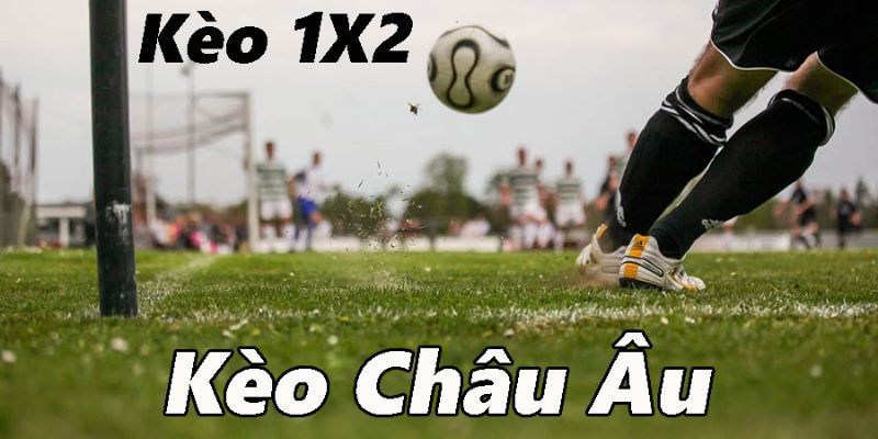 Cách đọc kèo châu Âu chuẩn không cần chỉnh