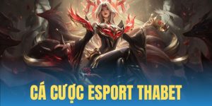 Cá Cược Esport Thabet - Nơi Tiếp Nối Đam Mê Săn Thưởng