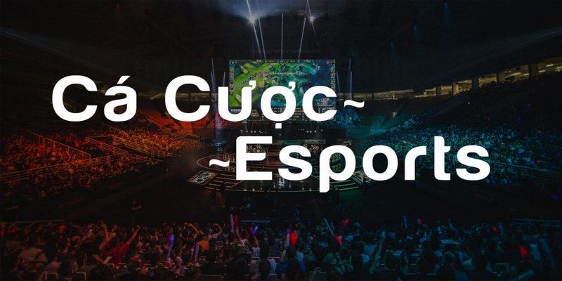 Các dạng cược hot trong sảnh Esport Thabet